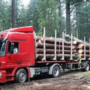 Douglas stamhout - onbewerkte stammen per vrachtwagen